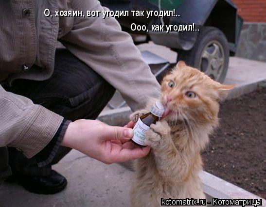 4743317_qq (547x427, 37Kb)
