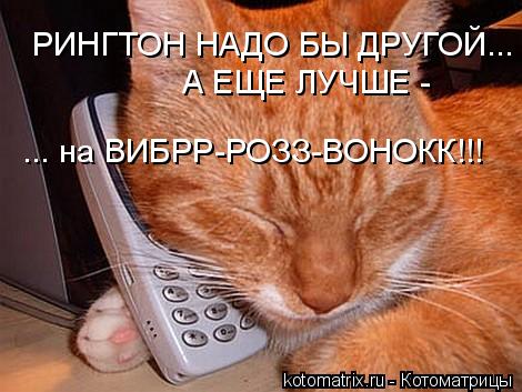 4743317_4o (470x353, 40Kb)