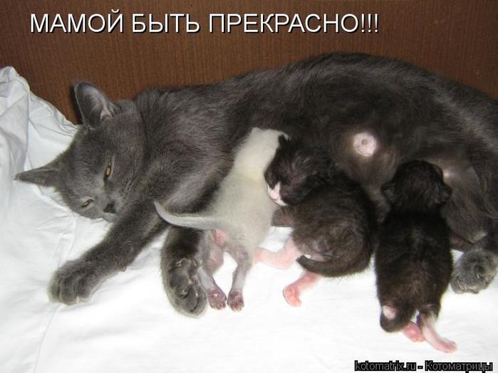 4743317_U_1_ (700x524, 45Kb)