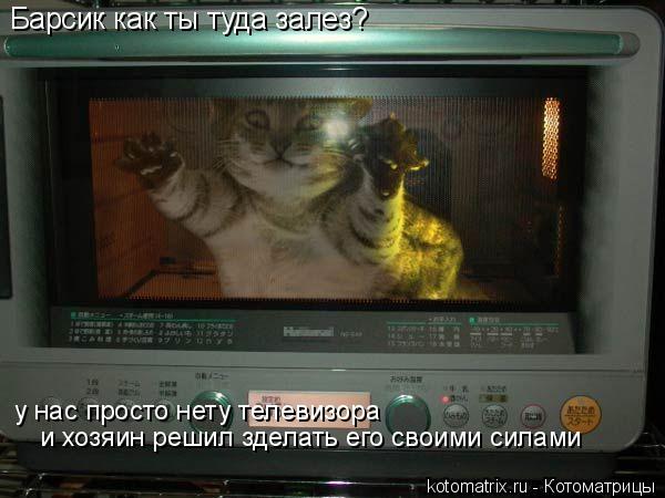 4743317_l6 (600x450, 42Kb)