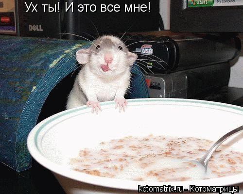 4743317_7K (500x400, 38Kb)