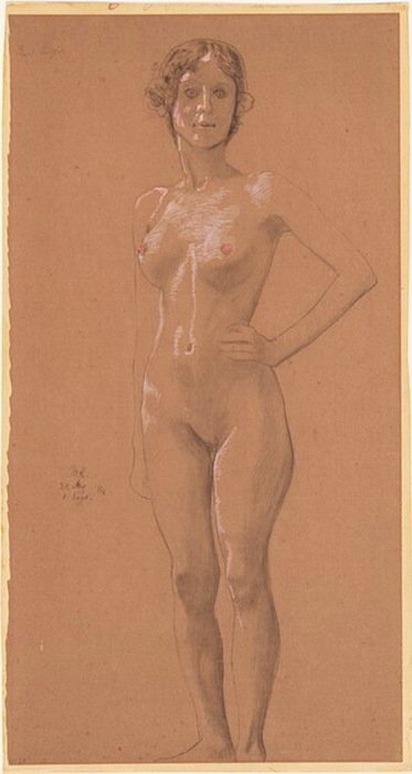 1914 Standing Nude, . , . , . 64.5 x 34.2 cm    (373x700, 56Kb)