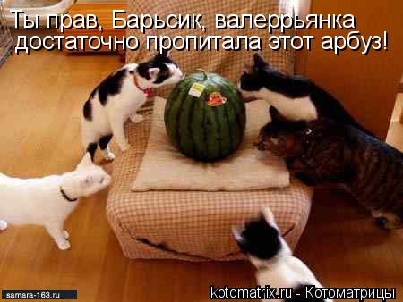 4743317_Qd (450x338, 27Kb)