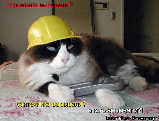 4743317_PfR (650x498, 46Kb)