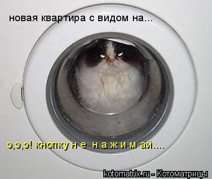 4743317_n8 (421x355, 22Kb)