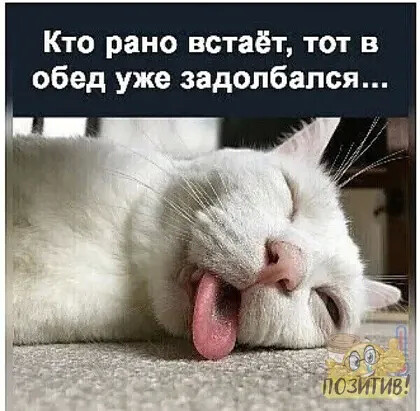 4743317_i_3_jpegavv (420x411, 58Kb)