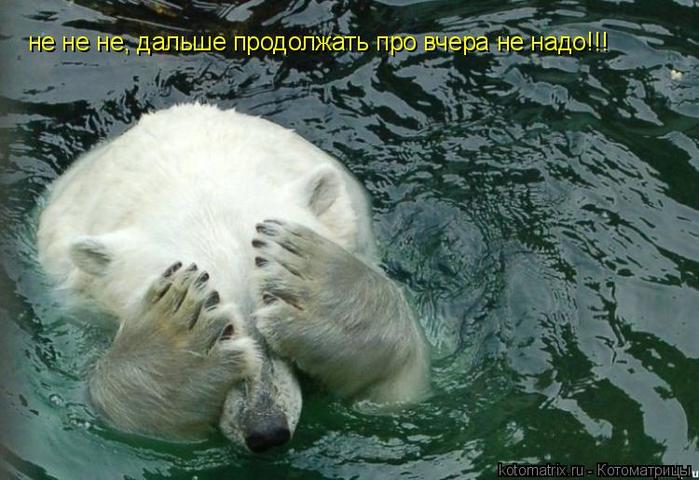 4743317_K1 (700x480, 61Kb)
