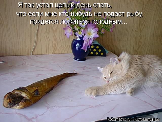 4743317_HY (640x480, 48Kb)
