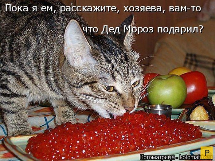 4743317_1451567731_7 (700x524, 151Kb)