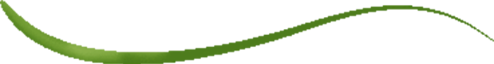 iz1 (700x91, 15Kb)