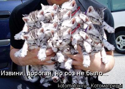 4743317_N8_1 (400x285, 29Kb)