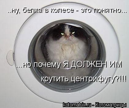 4743317_n8 (421x355, 25Kb)