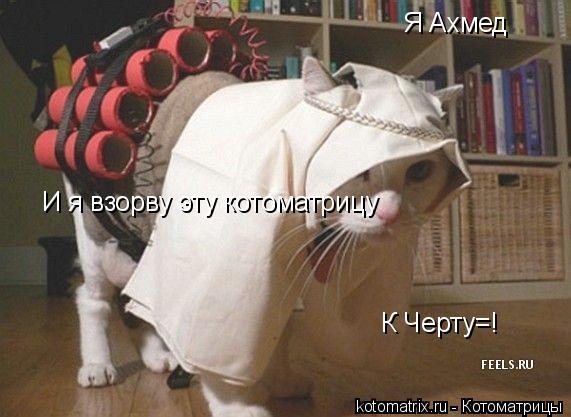 4743317__N (571x417, 40Kb)