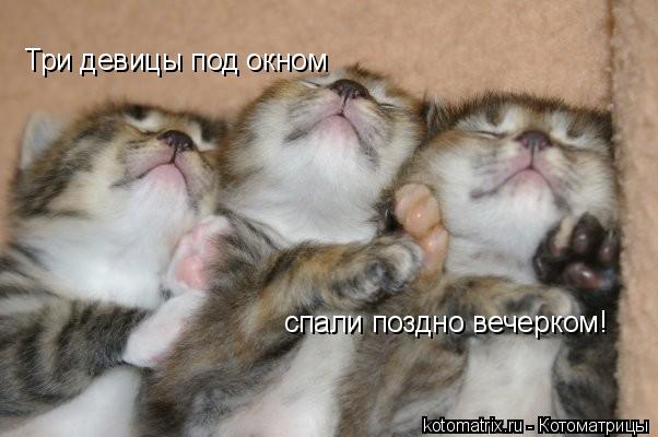 4743317_oq (602x400, 37Kb)