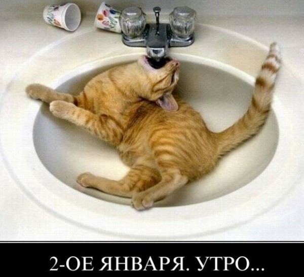  (600x546, 63Kb)