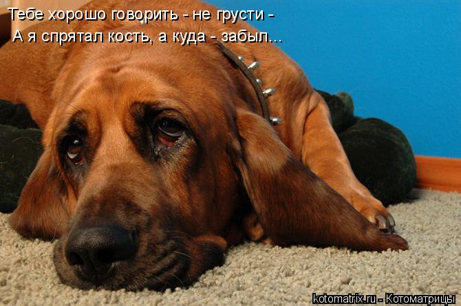 4743317_HbT (670x445, 53Kb)
