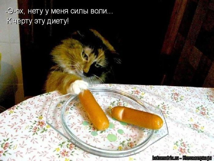 4743317_Vk (700x524, 56Kb)