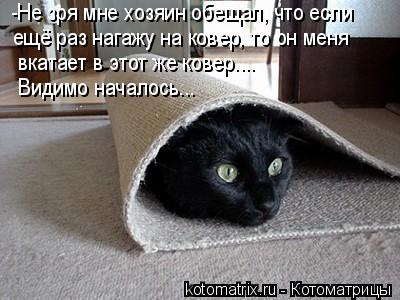 4743317_p7 (400x300, 29Kb)