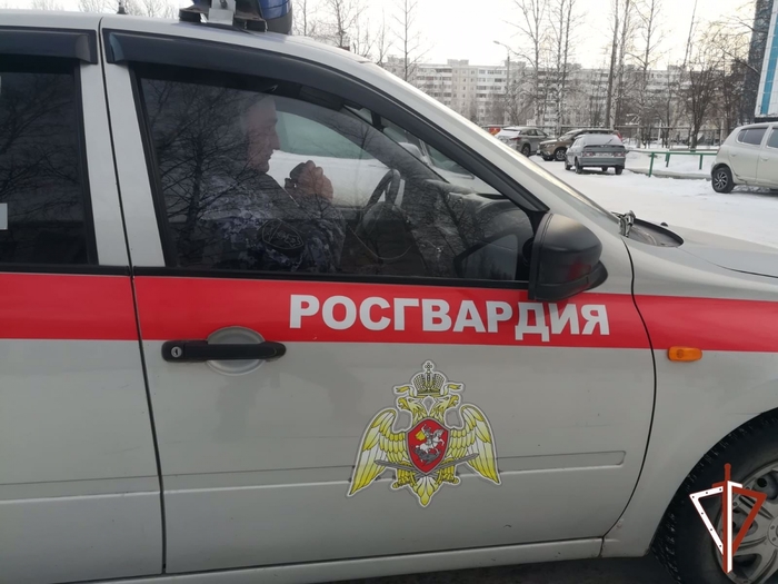 7290319_Rosgvardeici_zaderjali_neadekvatnogo_myjchiny_kotorii_popitalsya_proniknyt_v_detskii_sad_v_Ugre (700x525, 210Kb)