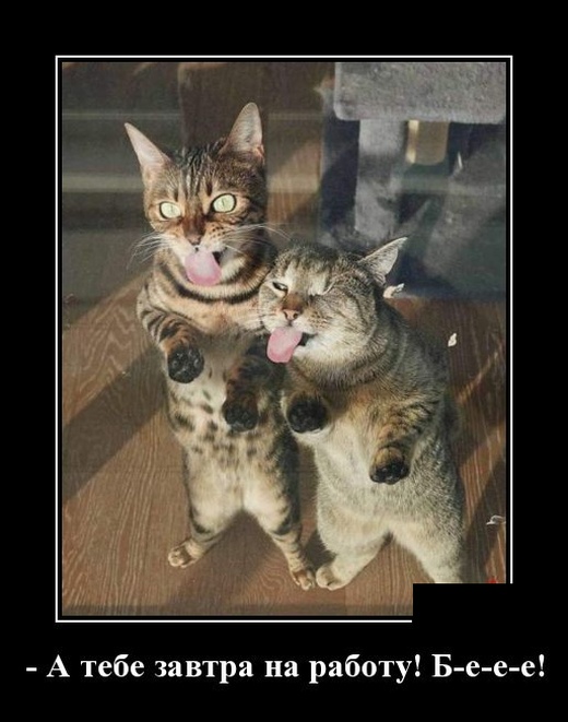 5402287_1542052310_16 (520x661, 92Kb)