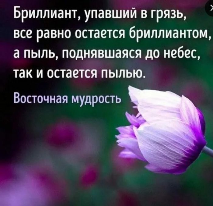 3790308_s1200207768x742 (700x676, 58Kb)