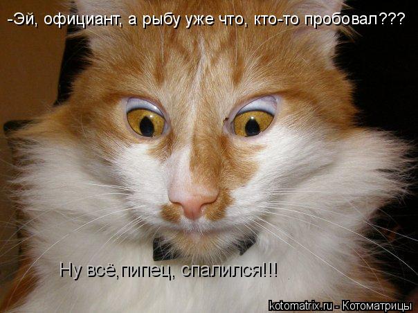4743317_mR (604x452, 54Kb)