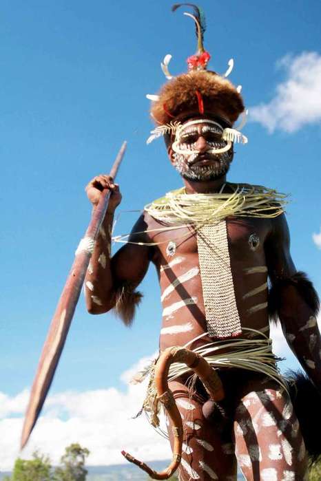 sang-panglima-perang-suku-dani-papua (466x700, 35Kb)