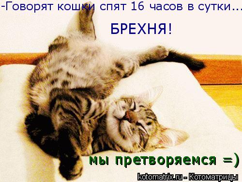 4743317_Bc (500x375, 39Kb)