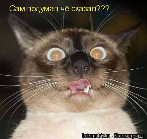 4743317_DK (490x465, 36Kb)