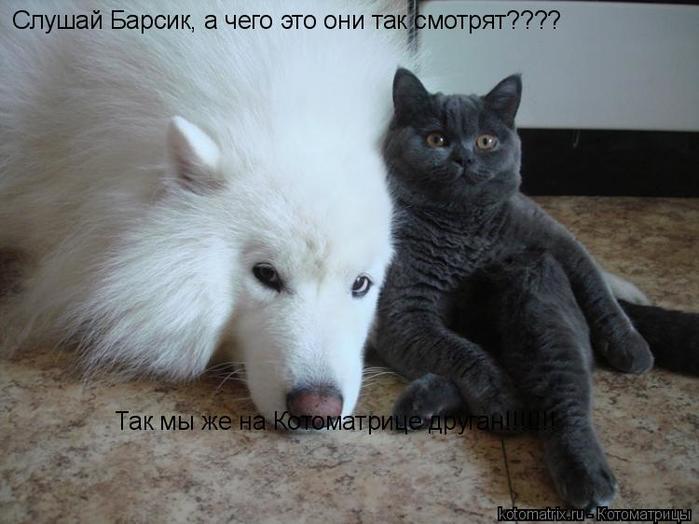 4743317_k (700x524, 47Kb)
