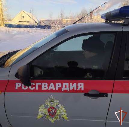 7290319_V_Ugre_rosgvardeici__presekli_ryad_prestyplenii (429x421, 28Kb)