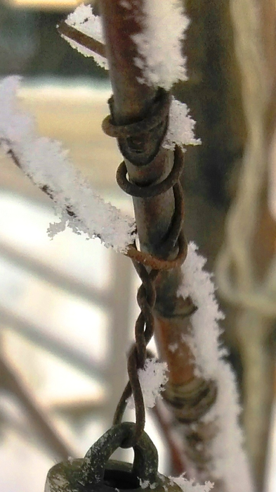 _2023-01-12_162224441 (393x700, 389Kb)
