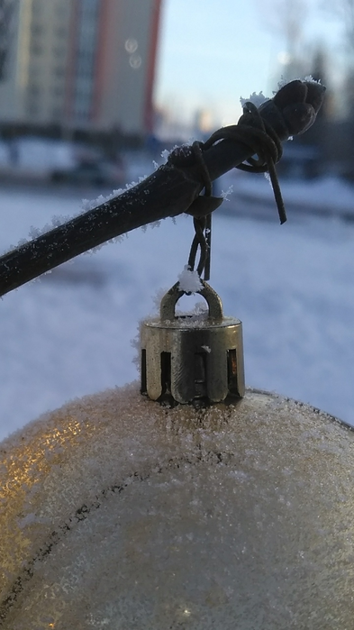 _2023-01-12_162405763 (393x700, 354Kb)