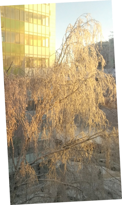 63c00cb4437a9_1673530605_63c00cb44378f (1) (418x700, 514Kb)