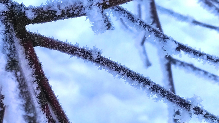 _2023-01-12_170144654 (700x393, 449Kb)