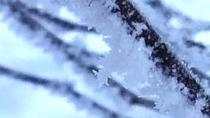 _2023-01-12_170333274 (700x393, 361Kb)