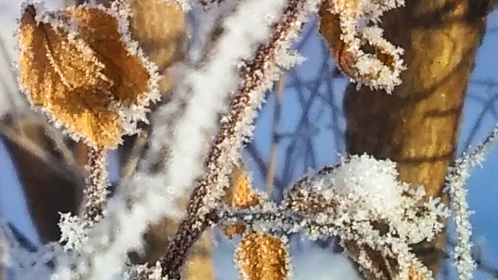 _2023-01-12_170433605 (700x393, 464Kb)