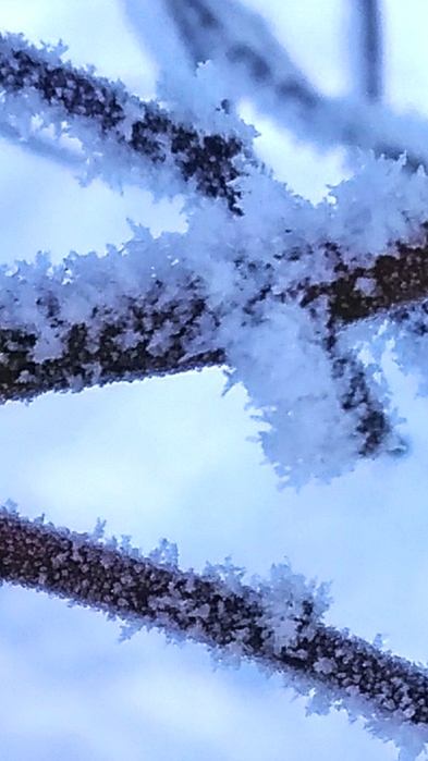 0022 (393x700, 187Kb)