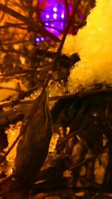_2023-01-12_185611780 (393x700, 372Kb)