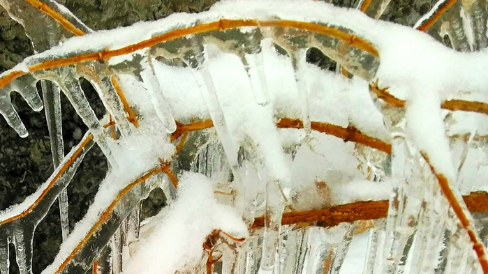 _2023-01-12_185829894 (700x393, 504Kb)