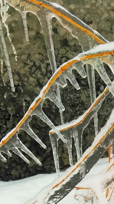 _2023-01-12_185927142 (393x700, 527Kb)