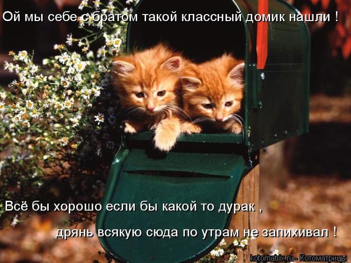 4743317_XL (700x524, 68Kb)