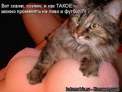 4743317_T7 (470x353, 30Kb)