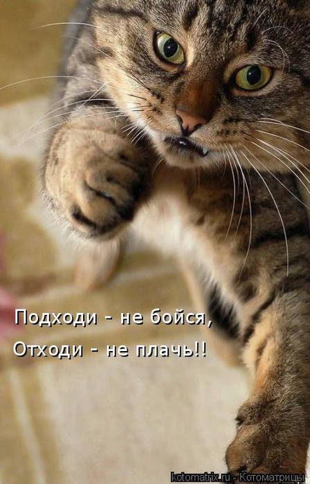 4743317_g (448x700, 50Kb)