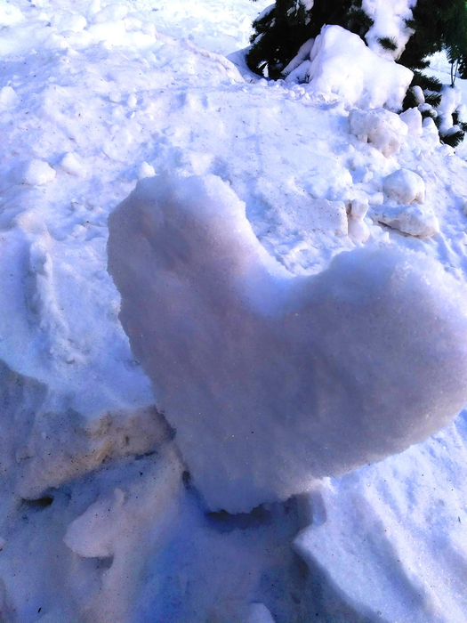 _2023-01-13_211836992 (525x700, 537Kb)