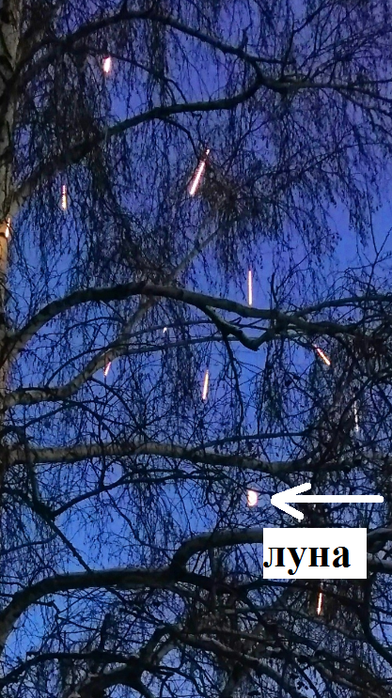 _2023-01-13_212147275 (392x700, 589Kb)