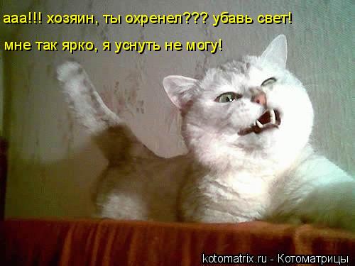 4743317_B (500x375, 27Kb)