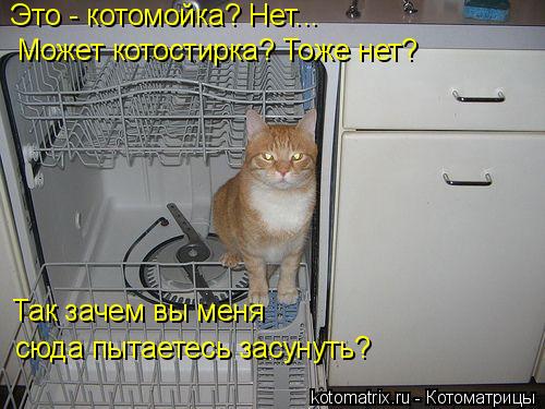 4743317_l (500x375, 44Kb)