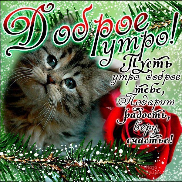 4743317_i39817 (600x600, 158Kb)