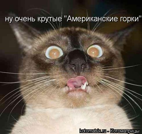 4743317_fZ (490x465, 36Kb)